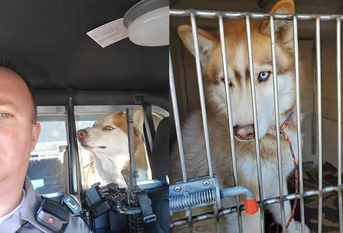 �����ڻ�������ֻ��ʿ������˹ά��˹���ٹ�·���ֱײ ������������