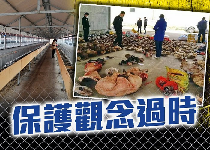 ר��ָ����Ұ���������δͻ�ơ��������������·Ƿ�ó�׳��򳣴� Ұζ��ҵ��ģ��