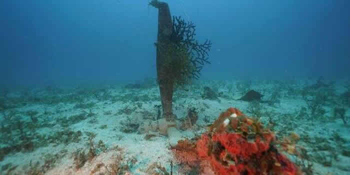 “Project Recover”在密克罗尼西亚楚克群岛泻湖寻获3架二战失踪美军轰炸机残骸
