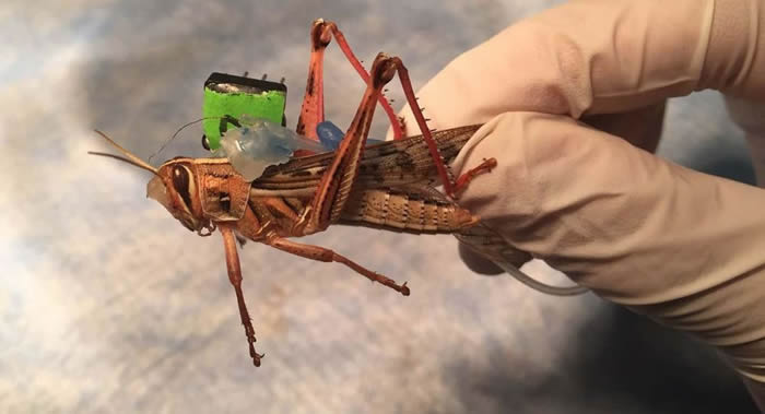 ʢʥ·˹ѧһʹѰұը·