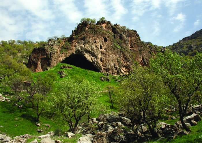 �����˿���µ���Shanidar Cave��ַ�е��ź��ٴ��������ᰲ�����˵�������ʽ���ı���