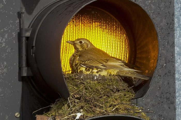 ������̵��ر����Ӣ���������һ������������