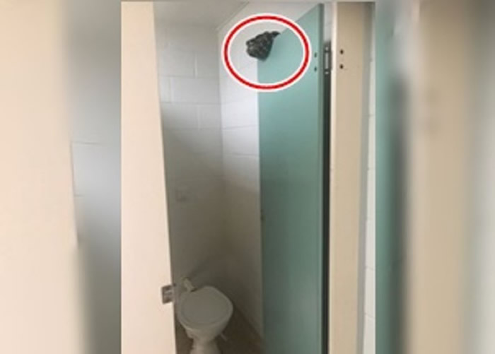 ʿʡ⺣һѧУв޾ֵձ