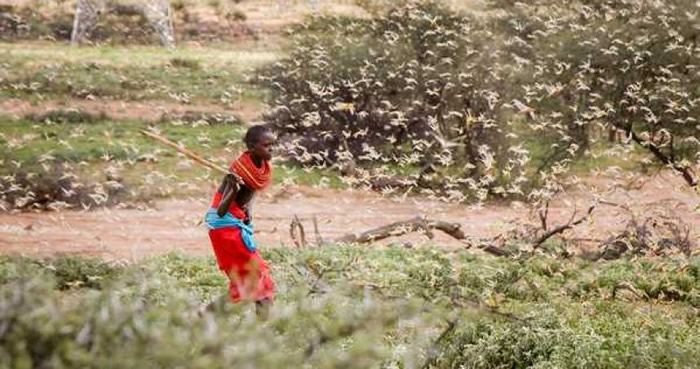 ��Դ�ڶ��ǵĻ��֣���������ӡ�ȺͰͻ�˹̹����ͼ����־�������磩