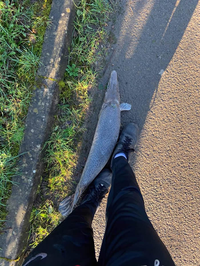 ������ʿ����Ϸ��ְ�������������ȸ����