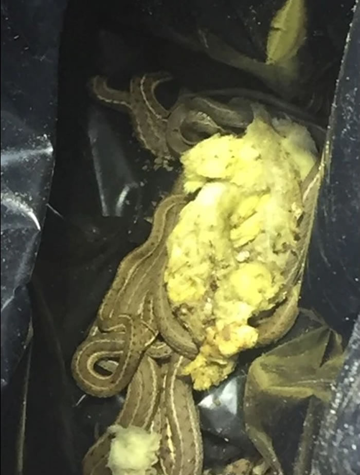 ��������������һ���˼�ľ�ذ��ð����ͷ �ƿ��󾹷���150����