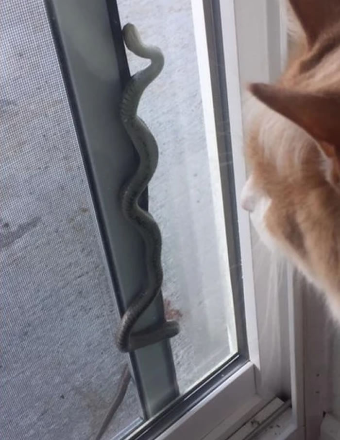 ��������������һ���˼�ľ�ذ��ð����ͷ �ƿ��󾹷���150����