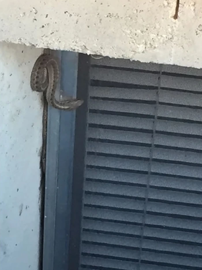 ��������������һ���˼�ľ�ذ��ð����ͷ �ƿ��󾹷���150����