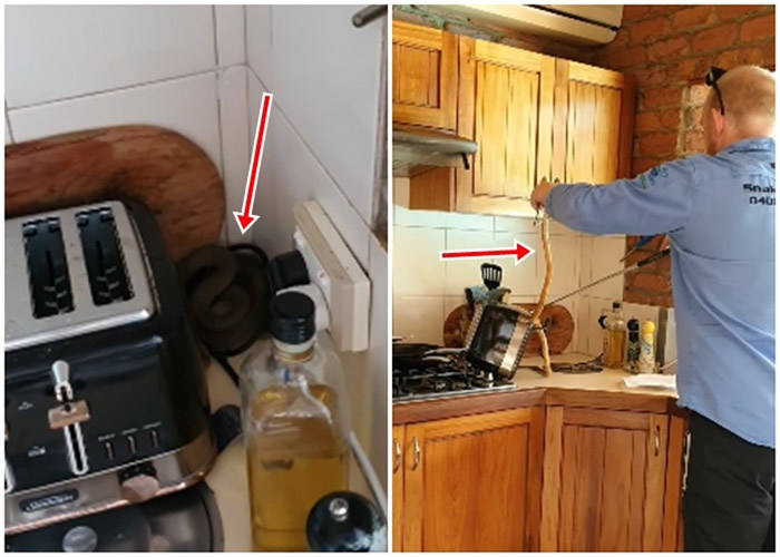 ʿһ϶ǿĶߡߡ רҳɹ