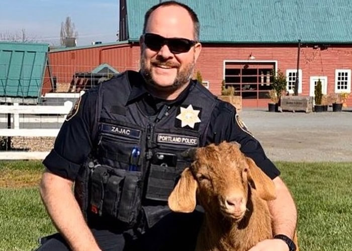 �������ո��ݲ�������Ƥɽ�����ᵷ�� ��Ա�������в���