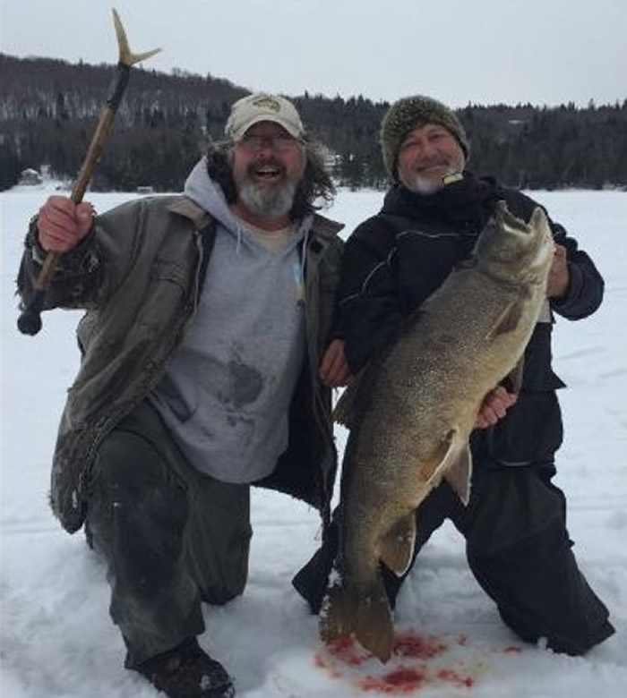 ǰ��ȷ�ϵ���ҵ����ѧ�ң��ң�Ϊ���أ��󣩸��ˡ�