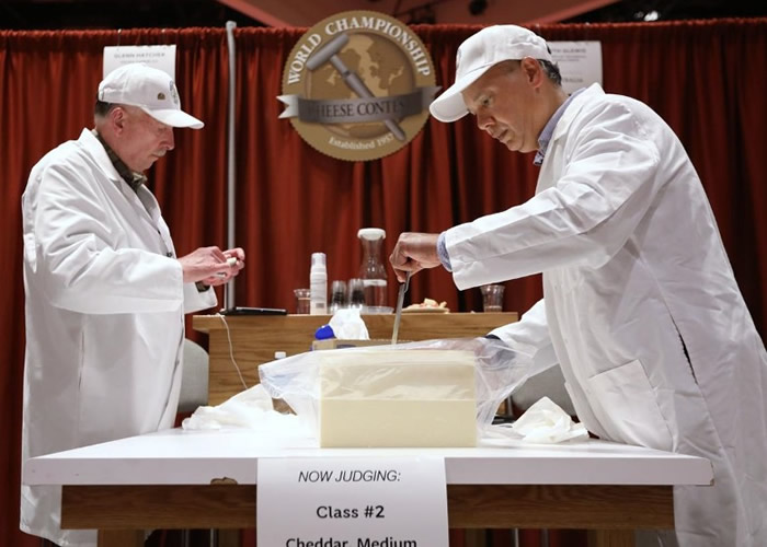 ������˹���������ѷ����֥ʿ������Ļ �ձ�֥ʿ�ɼ��Ȼ