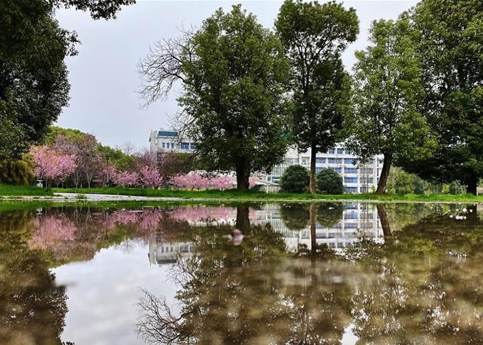 �人��ѧ���ӣ��½��ʢ�� �¹ڷ�������Ӱ�����˹���