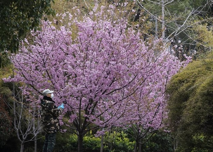 �人��ѧ���ӣ��½��ʢ�� �¹ڷ�������Ӱ�����˹���