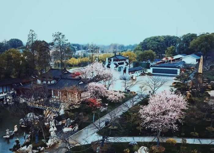 �人��ѧ���ӣ��½��ʢ�� �¹ڷ�������Ӱ�����˹���