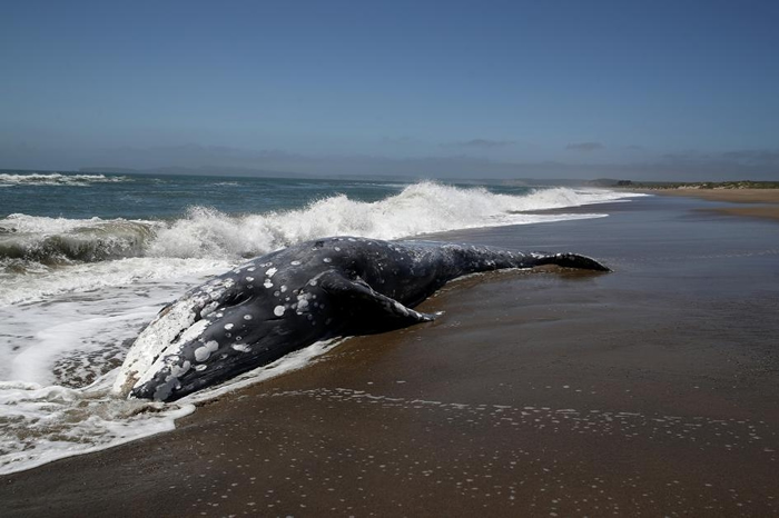 һͷҾǳڼݵҮ˹վ оʾ̫籩ֶܻʱʧ PHOTOGRAPH BY JUSTIN SULLIVAN, GETTY