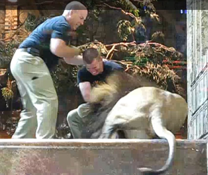 ˹ά˹÷ƵĳʨͻȻѵԱ ĸʨͦ