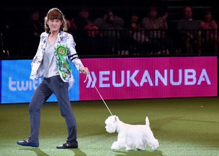 �����빷��ʩ����������չ�ֲ��ܡ�