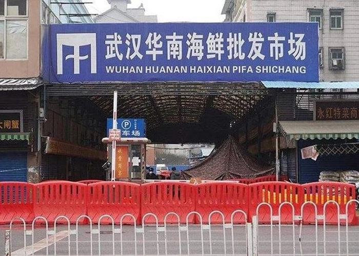 ���о���Ϊ�й��¹ڷ������顰��Ų��ˡ����ֵ�ʱ�������2019��11��24������