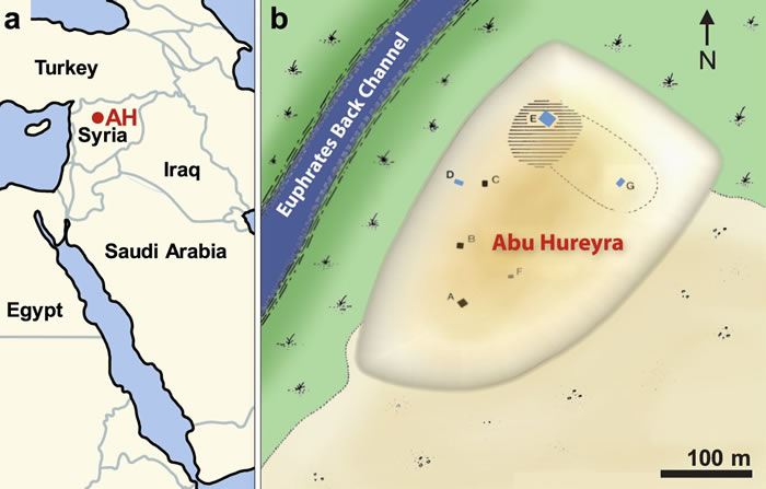 敍利亚北部的阿布胡赖拉考古新证据 彗星撞毁人类最早定居地