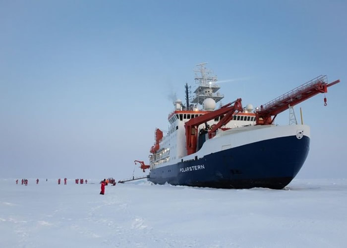 ¹ڷв MOSAiCƻʿƿųԱȷ