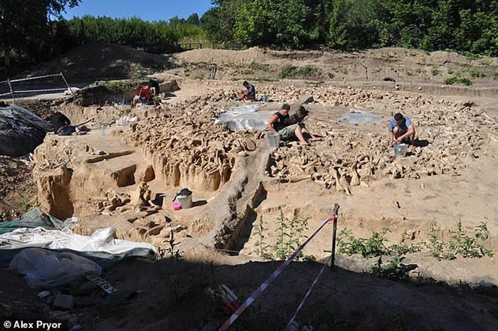 俄罗斯科斯捷尼基村发现2万年前冰河时代古人类遗址 用猛犸象骨头搭建房屋