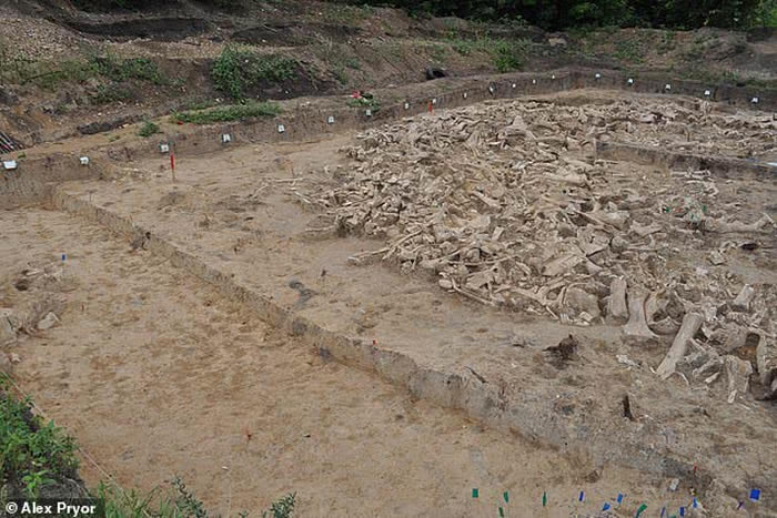 俄罗斯科斯捷尼基村发现2万年前冰河时代古人类遗址 用猛犸象骨头搭建房屋