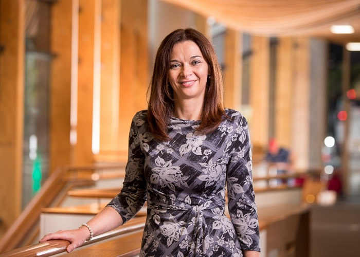 ���ȶ�˹������һ���������ڳ��ֿ��塣