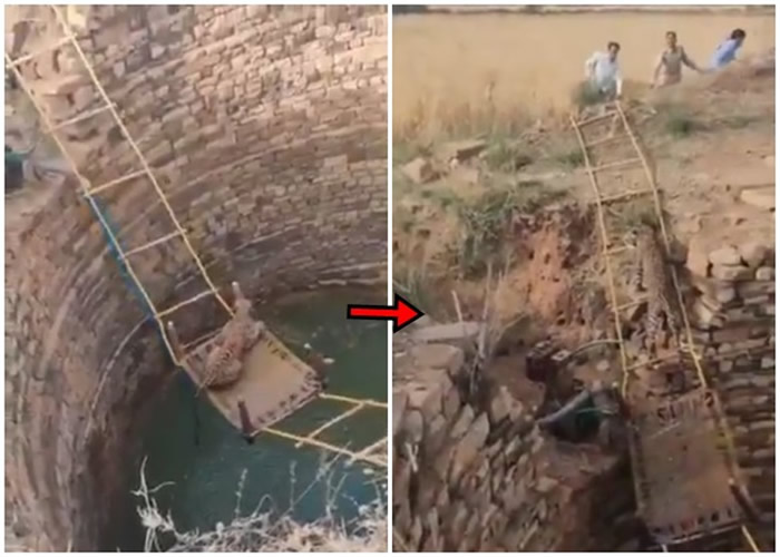 ӡ�������Ϧ���������ޱ��������Ⱥ� ��Ԯ��Ա��Ķ���