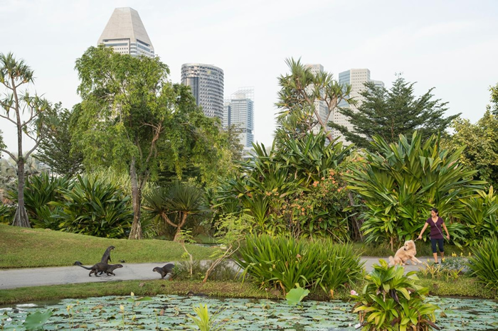 �ڱ�������԰����ɽ����ˮ̡�Թ������˷�Ӧ�� �����Ŷ�����ͼ��ˮ̡������ͳ���֮��ĸ��滥��������͡� PHOTOGRAPH BY STEFANO UNTERTH