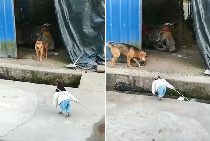 ӰƬ贫Ұֳֳ ŻƹϽÿϹ