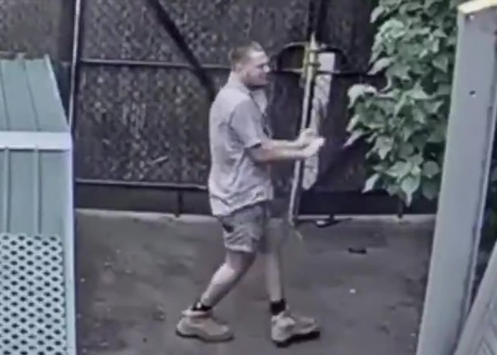 ֱͨ뿴ī԰¹ ȴĹԱ