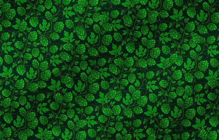 ������15������Ȅ��Ҷ���ҵ�һ��ơ�Ʊ���