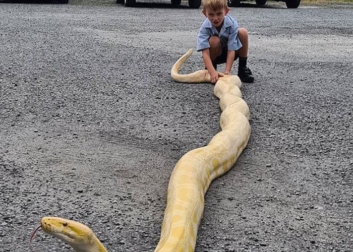 ʿƽ𺣰¿ɭֳ5׺׻ ˾̾ǰδ