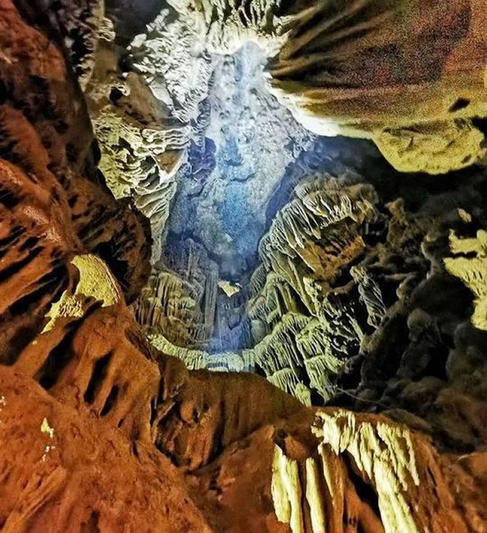 四川泸州古蔺“三鱼洞”发现古岩画及化石