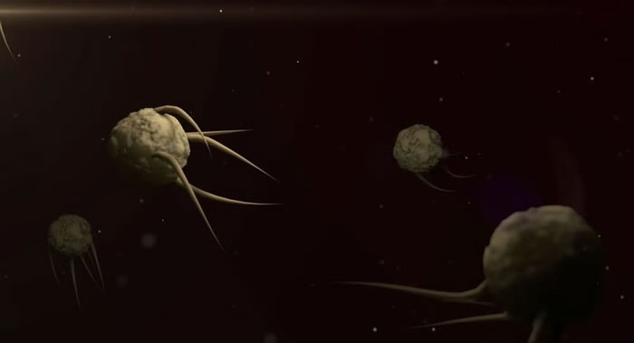 《LaNuovaFerrara》:意大利费拉拉省居民可能已对新冠病毒有了免疫力