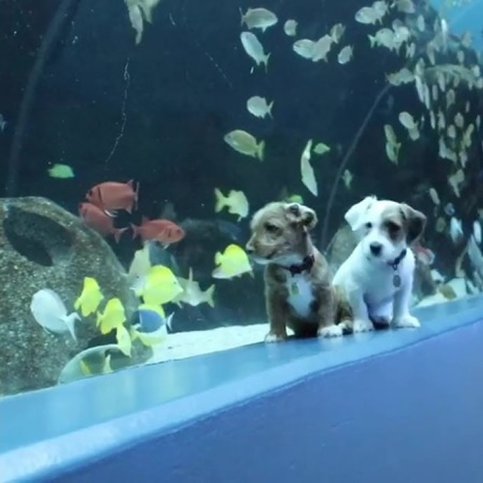 �¹ڷ������鼱����ɢ ������������ˮ����ر𿪷Ÿ���ֻ����