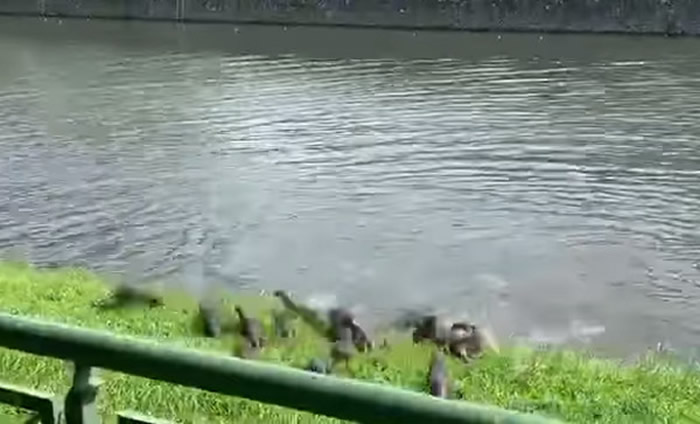 �¼��·����ڰ��ƴ��ԭ��������ˮ̡���д�