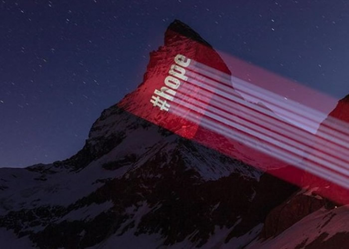 �����ɽ��Ͷ�����ϣ�������ۣ�������ġ�