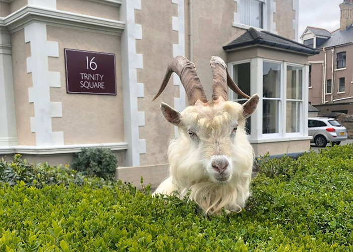 Ӣ������˹�غ�С�����澰 ɽ��Ⱥ���вι���������