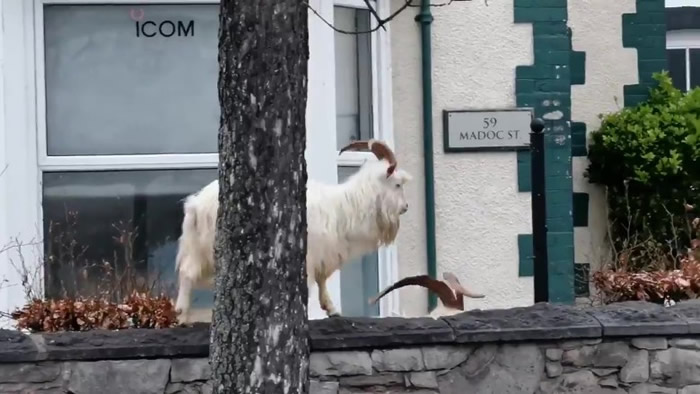 Ӣ������˹�غ�С�����澰 ɽ��Ⱥ���вι���������