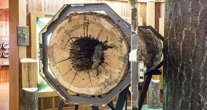 ������Ȯ������Stuckie׷�����ʱ�����п������ڻ����� ���20���ľ����