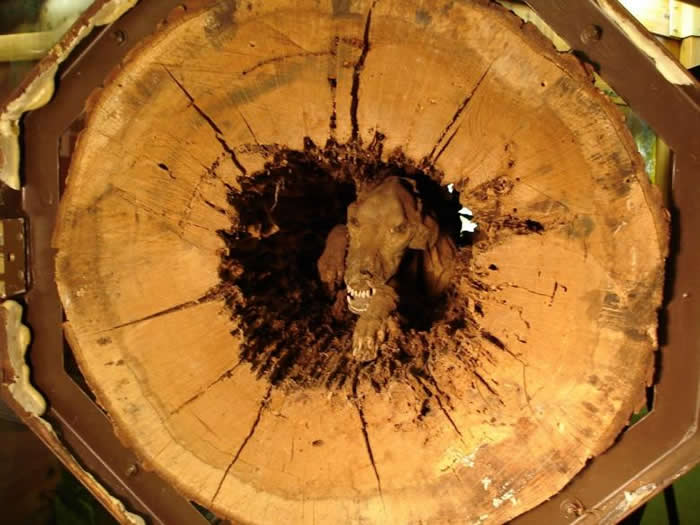 ������Ȯ������Stuckie׷�����ʱ�����п������ڻ����� ���20���ľ����