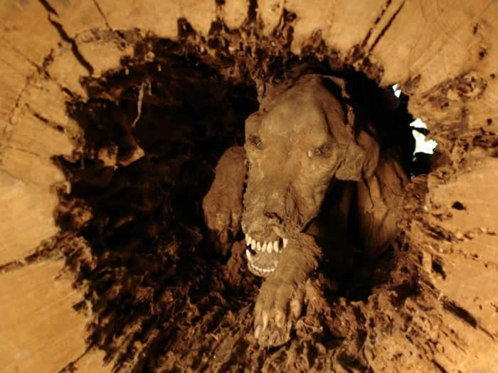 ������Ȯ������Stuckie׷�����ʱ�����п������ڻ����� ���20���ľ����