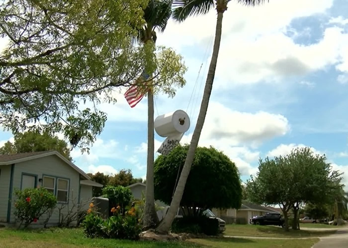 ������������ݹ���Donald Ryan�ڼ���ǰ���ô��������������ľ�Ʋ�ֽ��