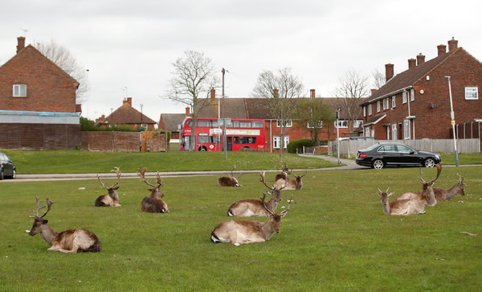 Ӣ�������¹ڷ����������������������������� ����û����������