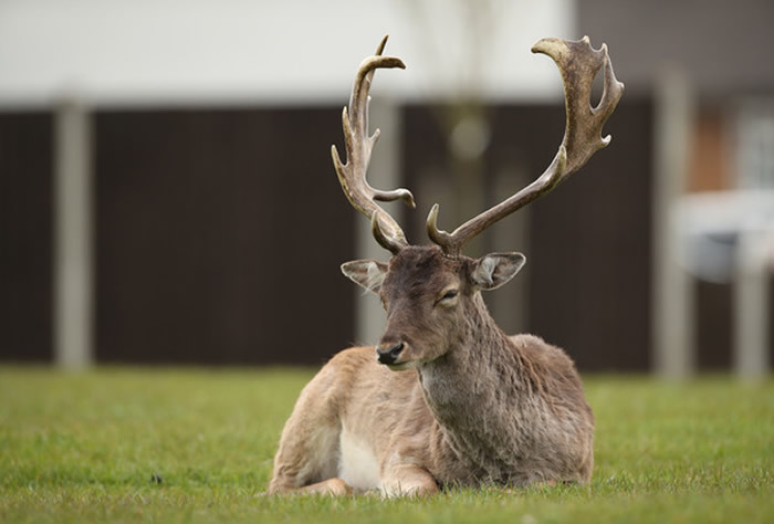 Ӣ�������¹ڷ����������������������������� ����û����������