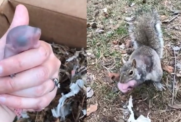 ����������Ƿ���һ����֦����Ҷ ��������ԭ�������������ﰲ����