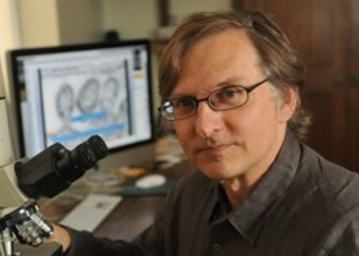 �������ױ��Ǵ�ѧ���������֡�Ian Lipkin���¹ڲ���������������䴫��������