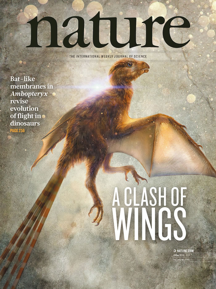 侏罗纪擅攀鸟龙类的发现和膜质翅膀在兽脚类恐龙中的演化